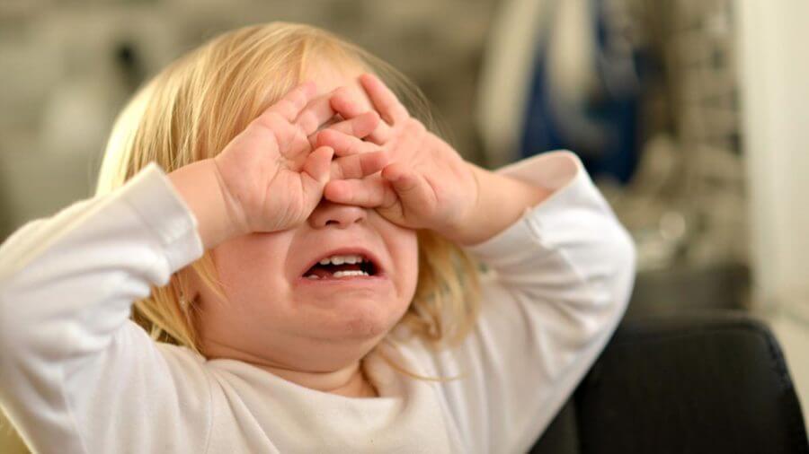 12 Temper Tantrum Tips The Early Years 